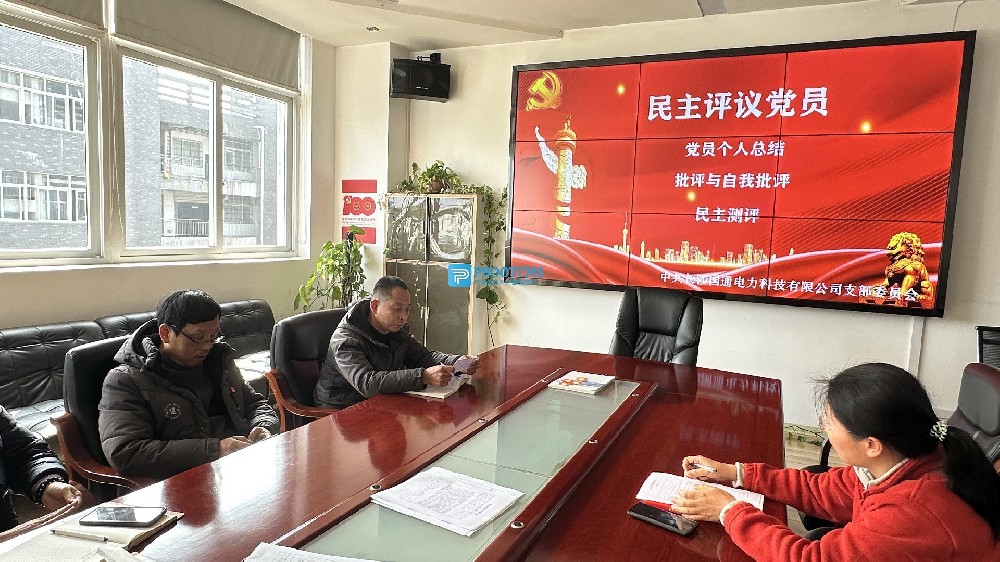 长沙国通党支部召开年度组织生活会和开展民主评议党员的工作